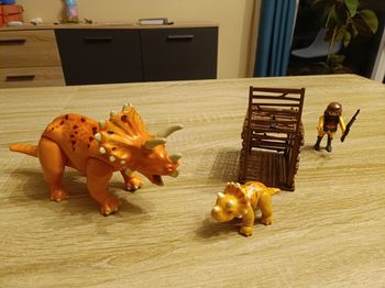 Playmobil dragon