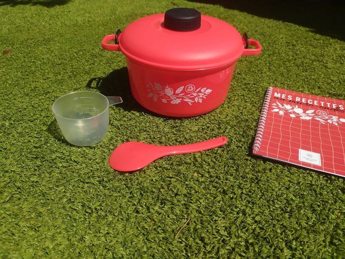 Plat cuisson micro-onde - photo numéro 2