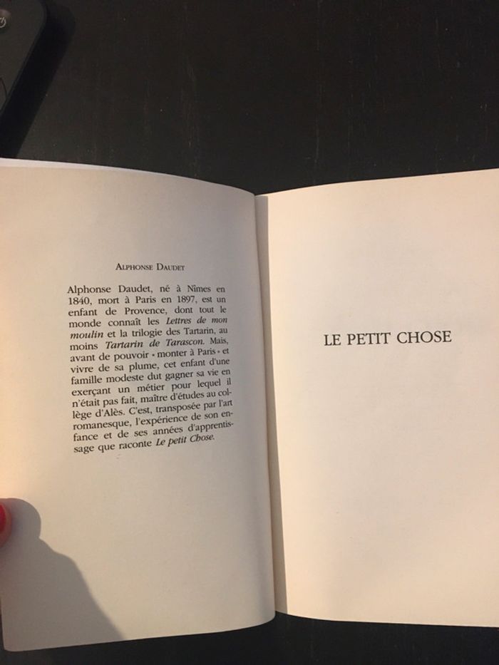 Livre jeunesse - le petit chose - photo numéro 5