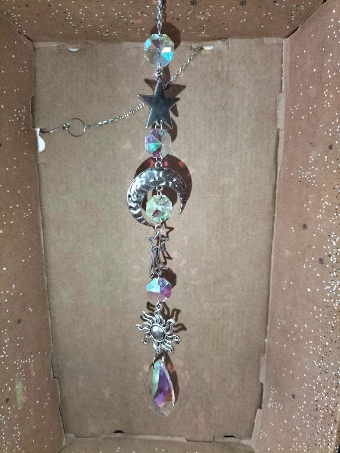 Grand attrape soleil - photo numéro 3