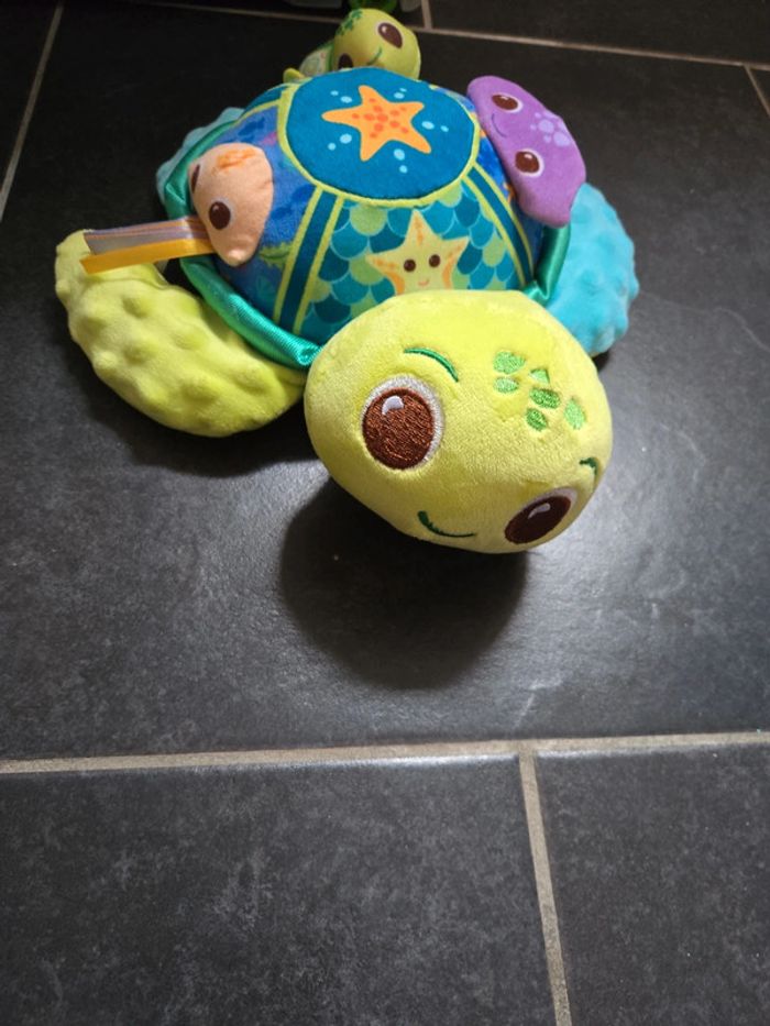 Tortue Eveil des sens - photo numéro 2