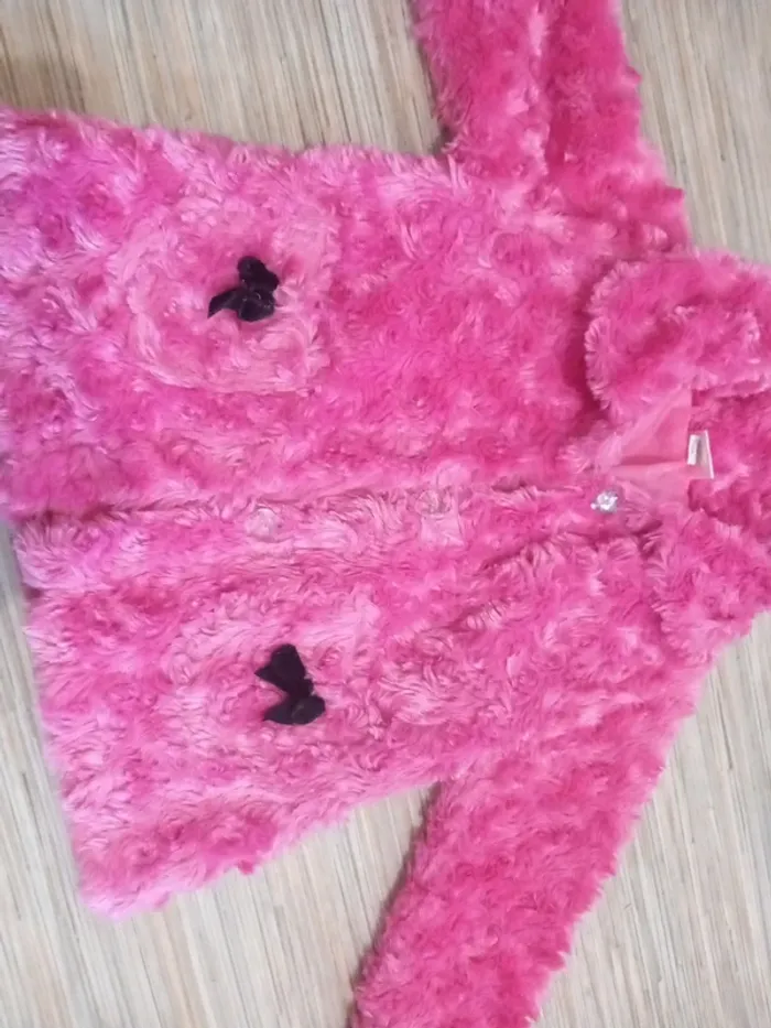 Veste - photo numéro 3