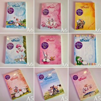 Lot de 9 blocs Diddl sous blister  