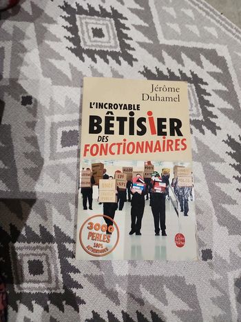 Livre : L'incroyable bêtisier des fonctionnaires