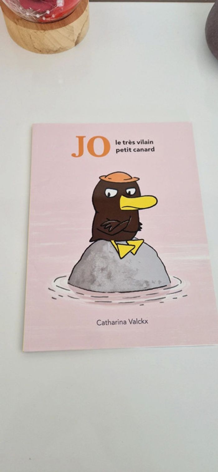 Livre enfant  Jo le très vilain petit canard