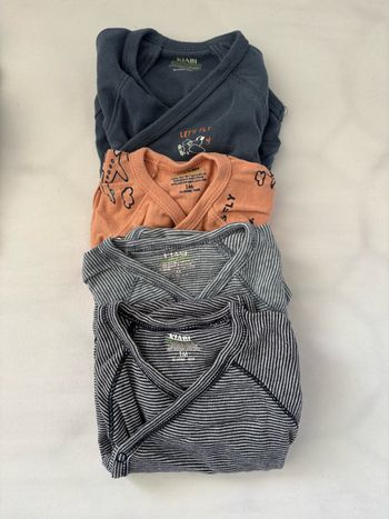 Lot 4 bodies