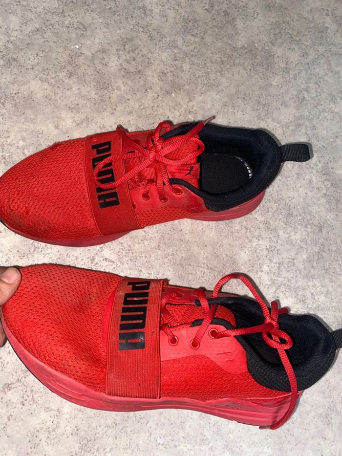 Basket puma