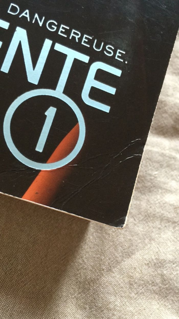 « Divergente 1 » 1er tome de la saga de Veronica Roth - photo numéro 4