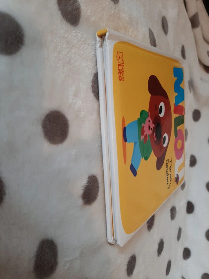 Livre Milou : tu es où doudou? - photo numéro 2