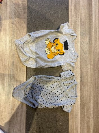 Lot de 2 bodies manche courte