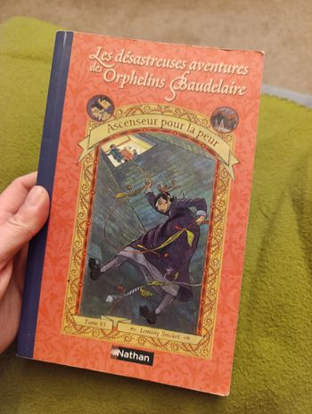 Les Désastreuses Aventures des Orphelins Baudelaire - Tome VI