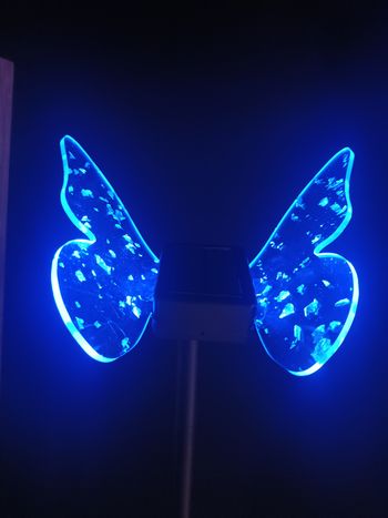 Lumière solaire jardin