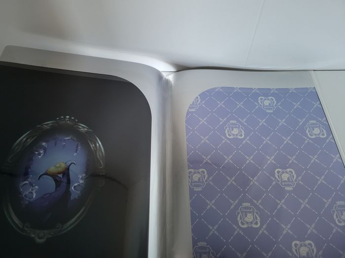 Twisted Wonderland porte document , jade floyd leech, Azul Ashengrotto - photo numéro 3