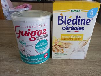 Lait bébé Guigoz AR 2 ème âge 