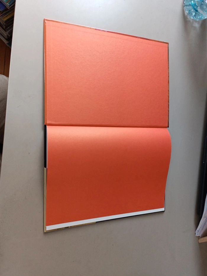 BD Lady S. tome 1 na zdorovié, shaniouchka - photo numéro 10