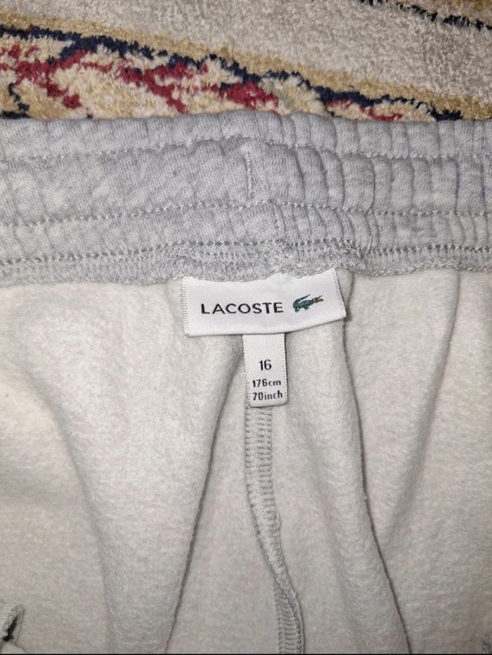 Pantalon lacoste rare - photo numéro 6