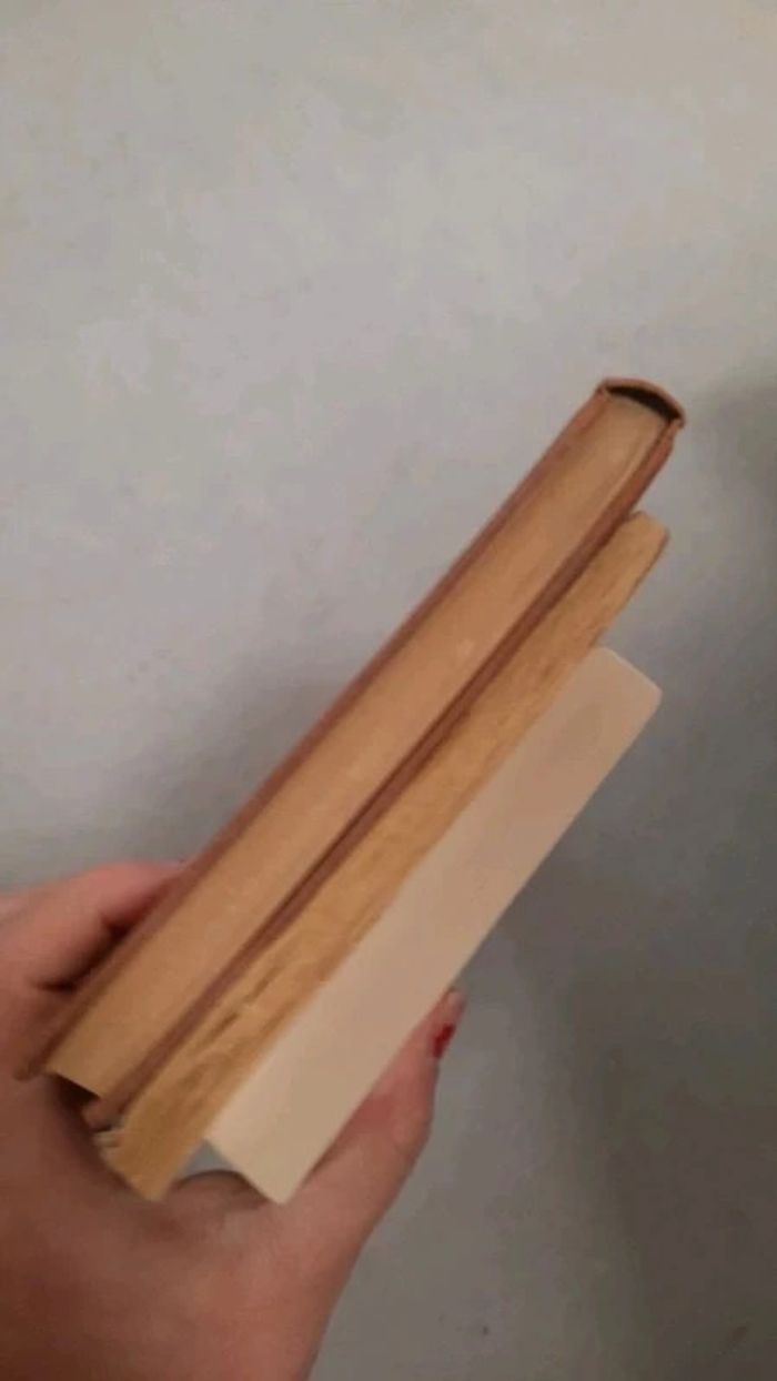 Lot enfance volé adolescents - photo numéro 5