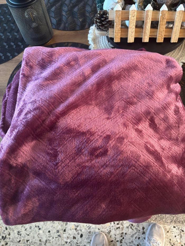 2 plaide - photo numéro 2