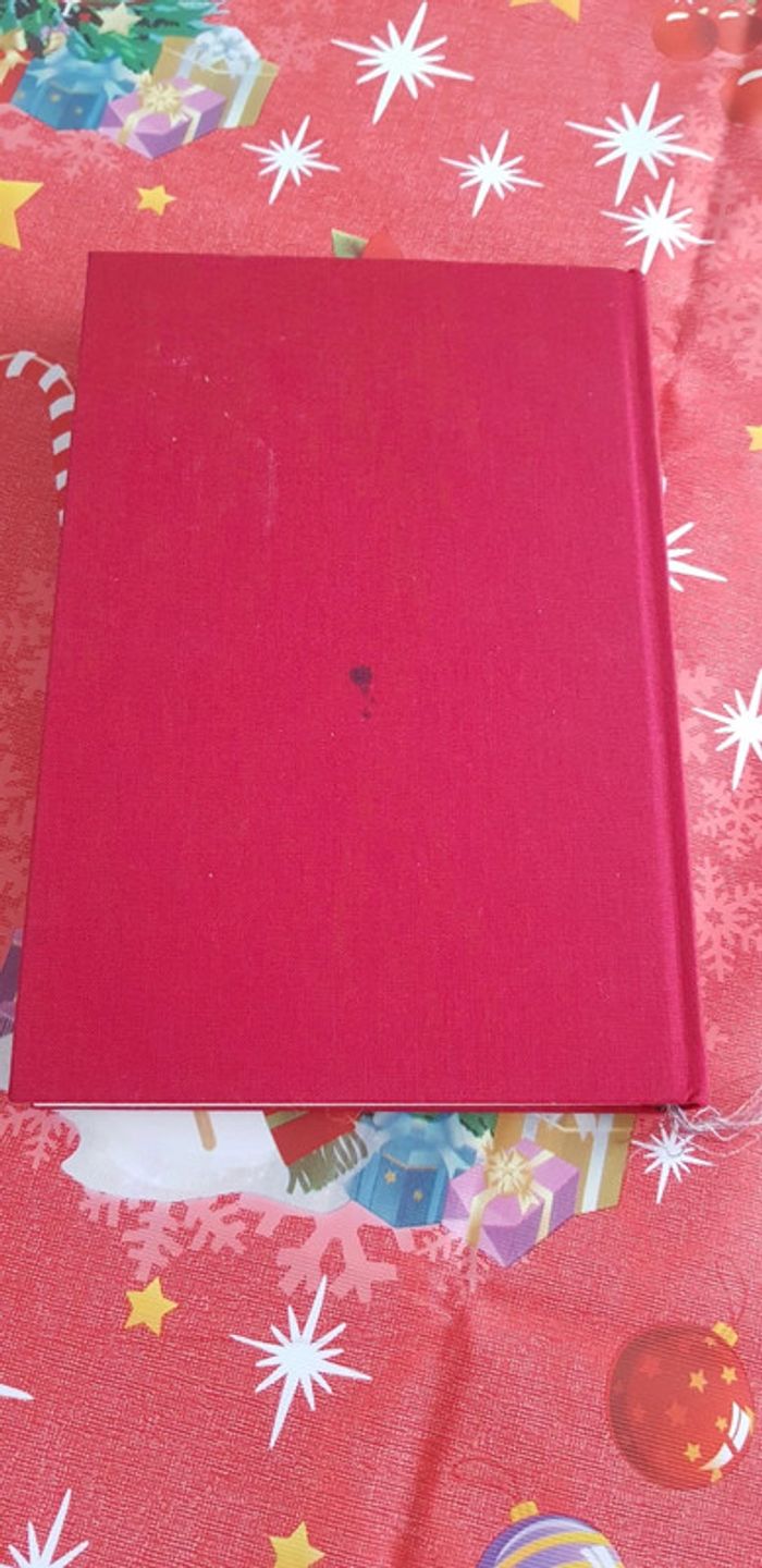 Livre Madame Bovary - photo numéro 3