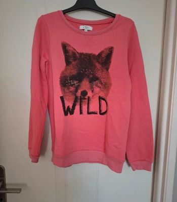 Pull tex 11/12ans loup