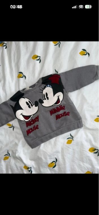 Pull Zara