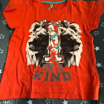 Tee shirt 6 ans lion orange orchestra