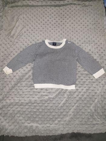 Pull bebe