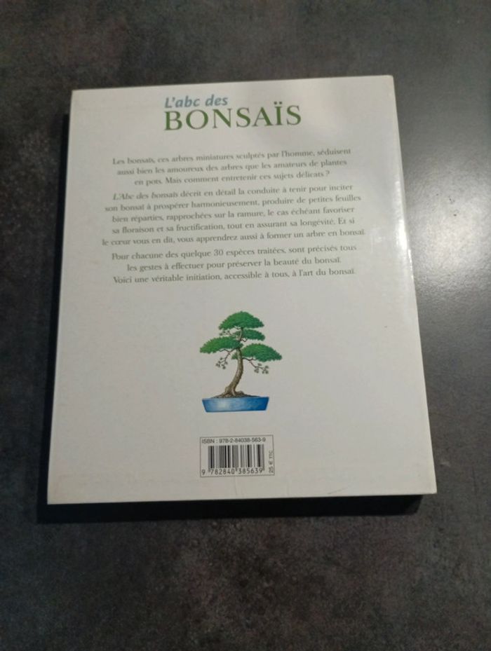 L abc des bonsaïs - photo numéro 2