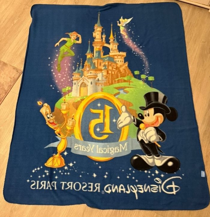 Plaid rare disney 15 ans - photo numéro 2