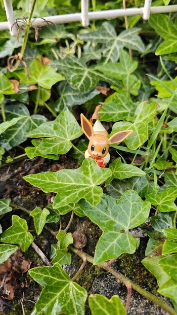 Super figurine Pokemon Nintendo Évoli