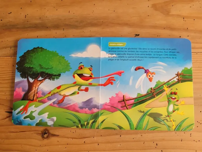 Livre cartonné documentaire Les Grenouilles - photo numéro 7