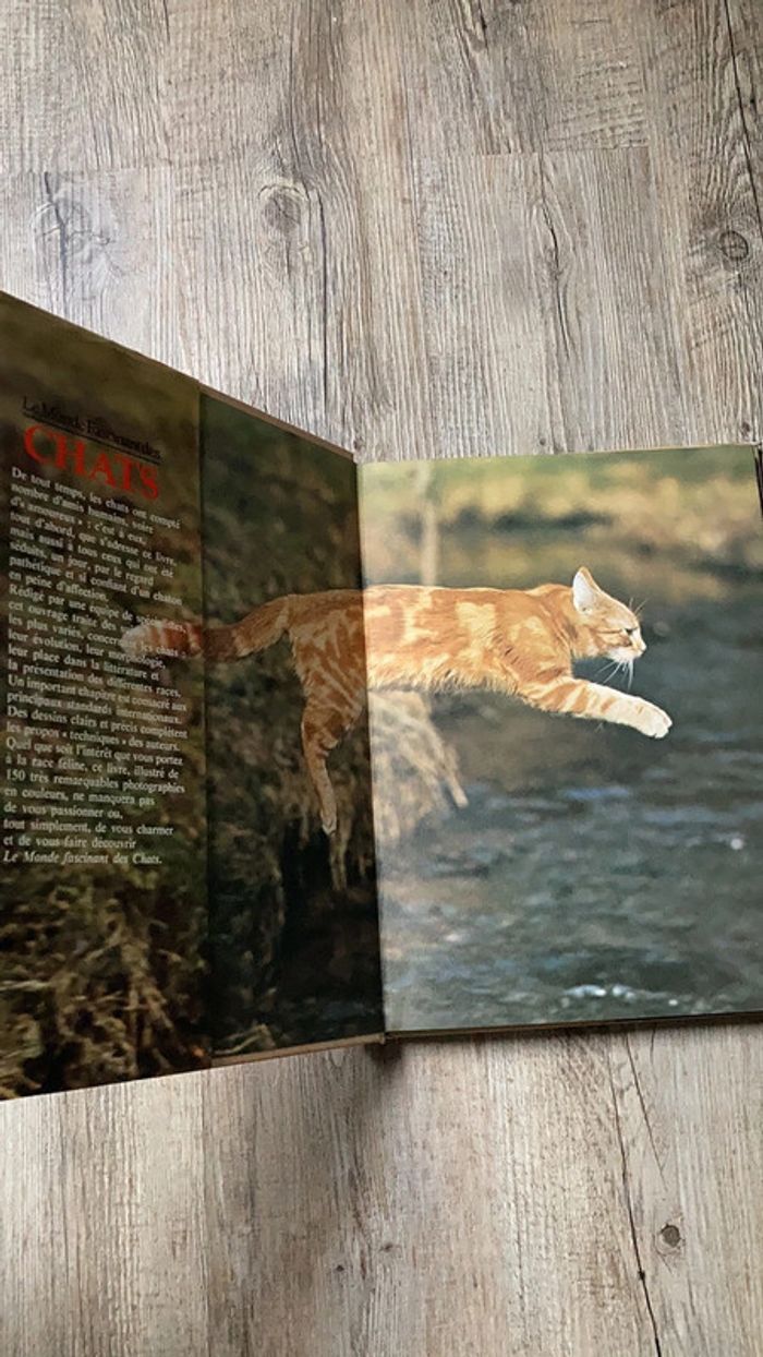 Livre relié Le Monde fascinant des chats - photo numéro 4