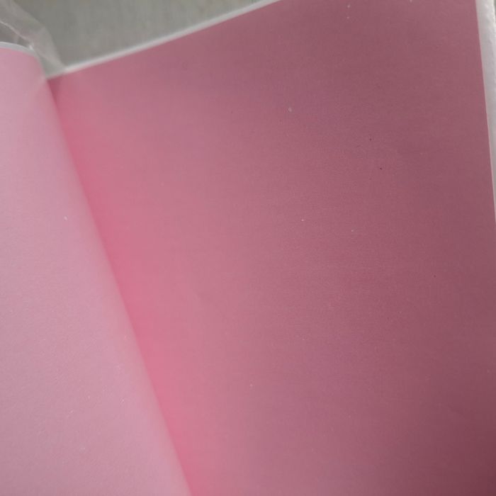 500 Étiquettes d’Expédition Autocollantes Rose 10,16 x 15,24 cm – Pour imprimante thermique - photo numéro 8