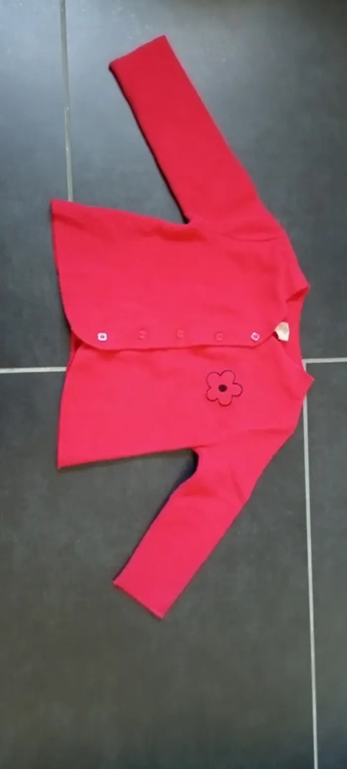 Veste toucher eponge