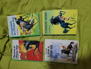 Bibliothèque vertes l etalon noir