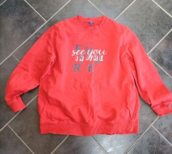 Pull 4xl