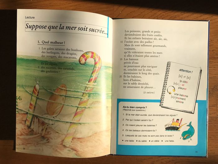 Lecture CP - CE1 Premier livre de lecture courante - photo numéro 4