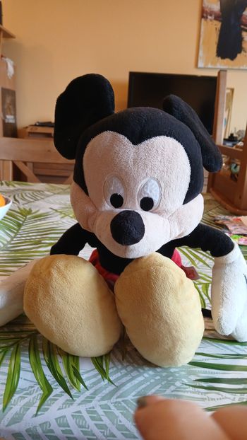 Mickey