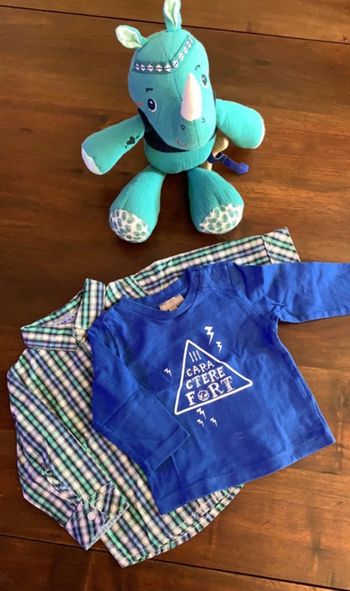 Lot chemise et tee-shirt Grain de blé 3M