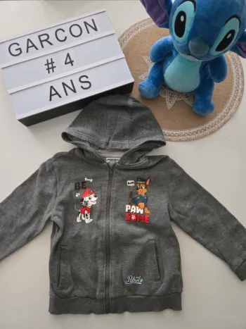 Gilet gris pat patrouille 4ans