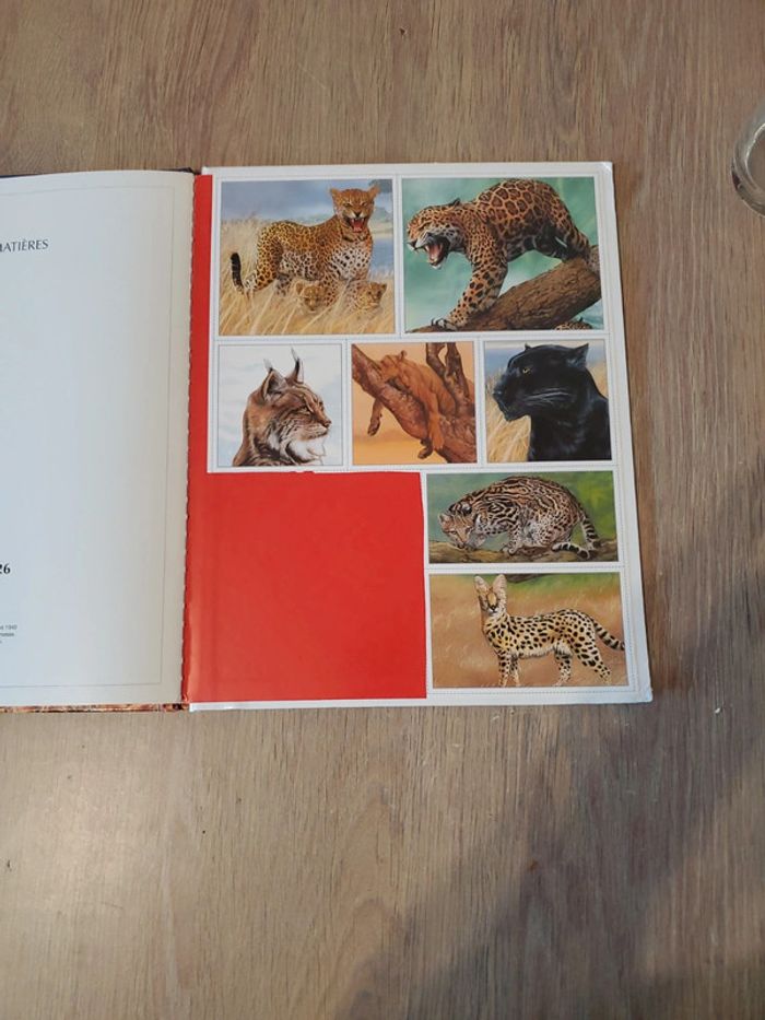 Livre sur les fauves - photo numéro 3