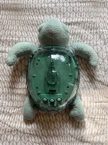 Tortue Cloud b Verte