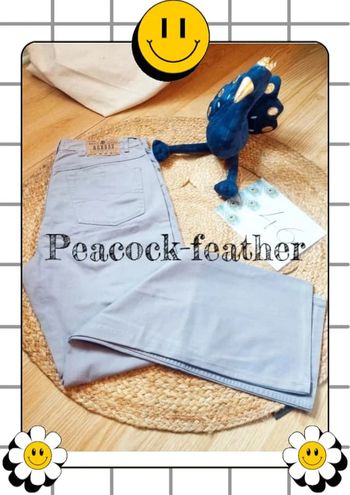 Pantalon gris clair 46 homme acros