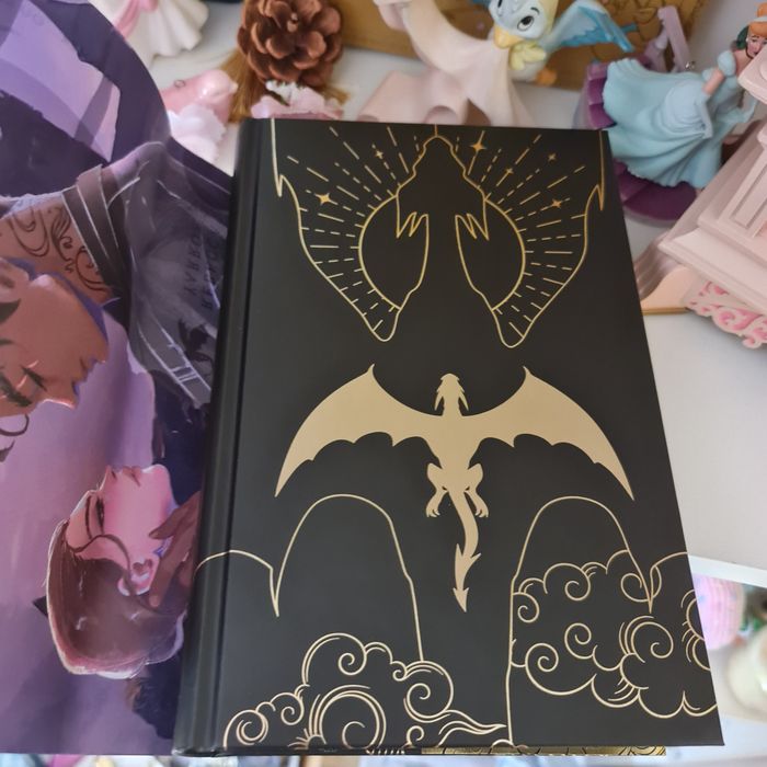 Livre Fourth wing Rebecca Yarros tome 1 - photo numéro 6