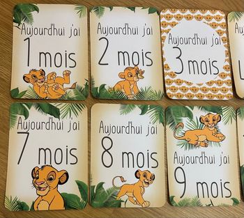 Cartes étapes simba