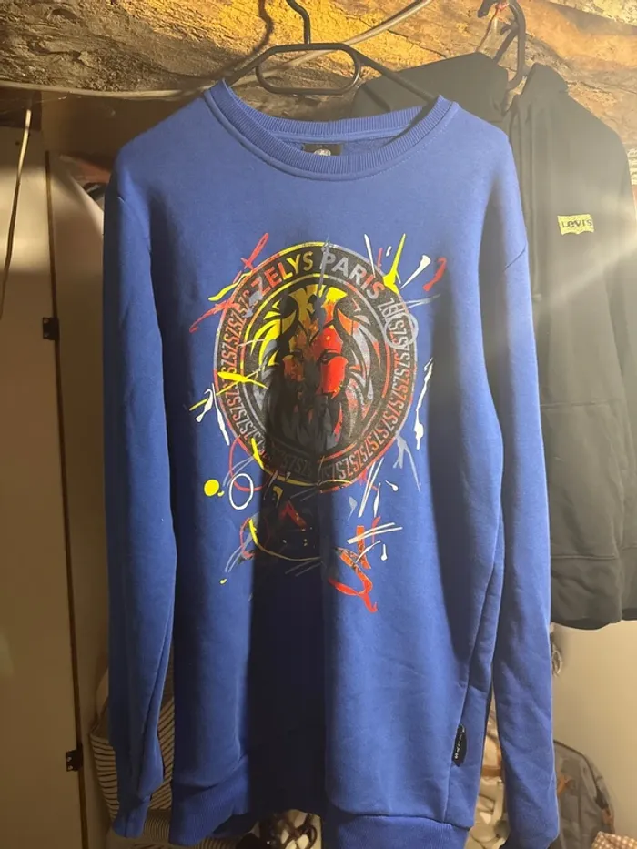 Pull/ sweat sans capuche bleu avec lion coloré - photo numéro 2