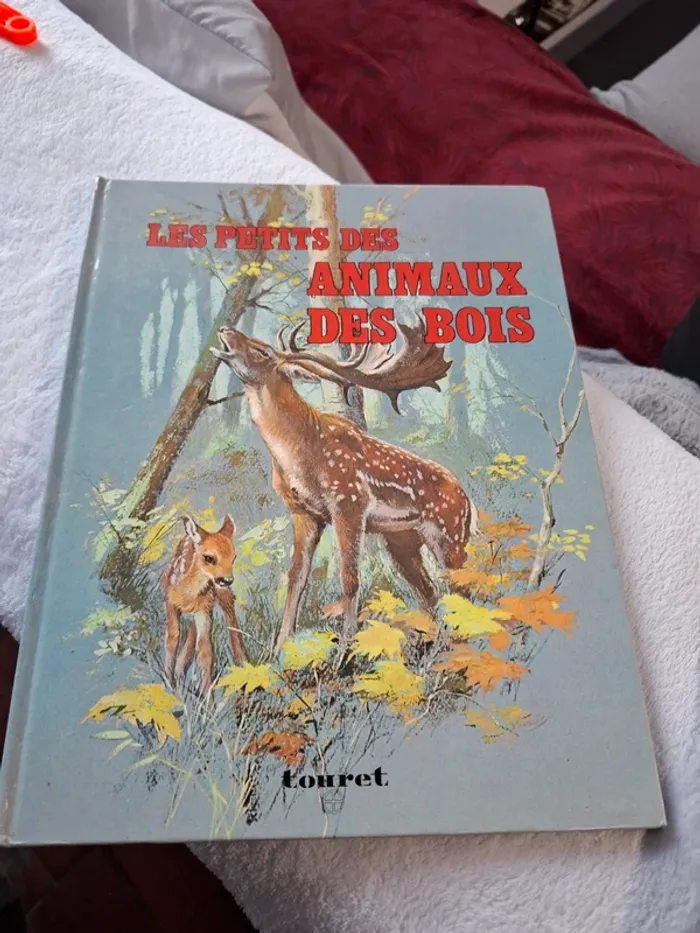 Magnifique livre pour jeune enfant sur les Animaux de la foret - photo numéro 2