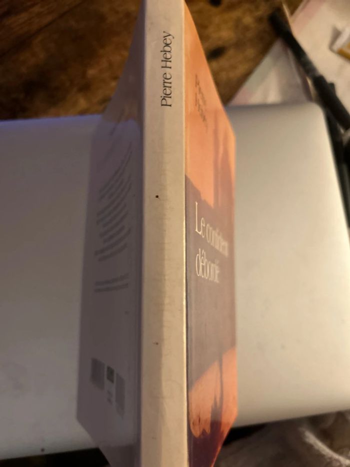 le confident déborde - photo numéro 3