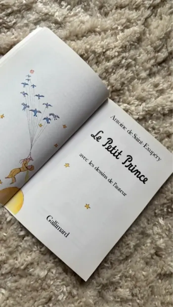Le petit prince - Antoine de Saint-Exupéry folio junior - photo numéro 2