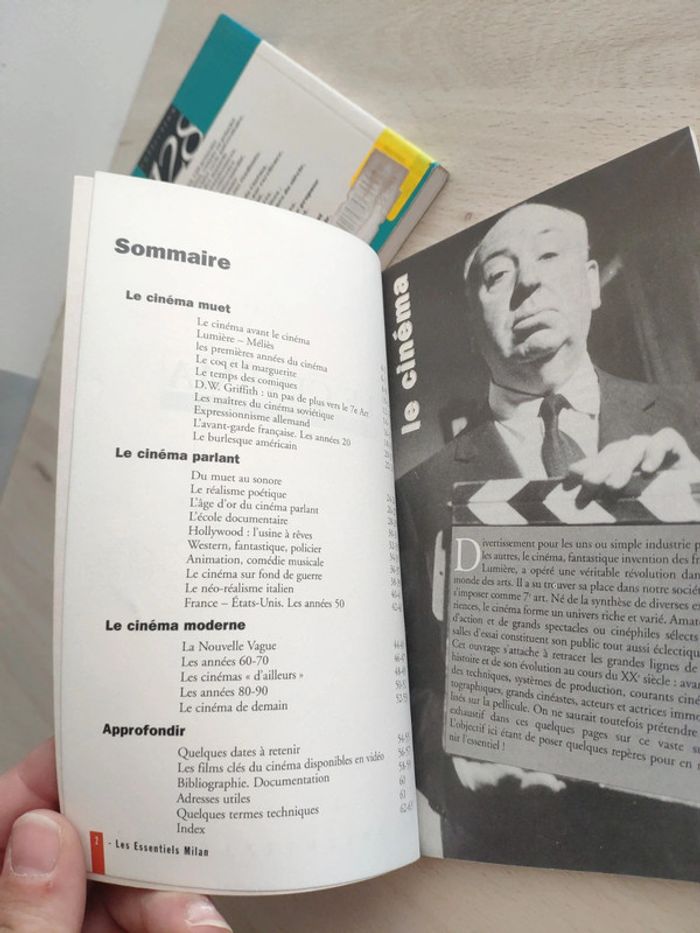 Lot deux livres cinéma en perspective une histoire Leutrat et Auzel essentiels Milan - photo numéro 4